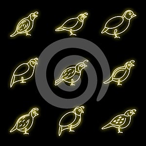 Quail bird icons set vector neon