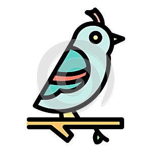 Quail on branch icon color outline vector