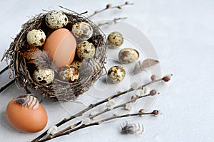 Quail and chicken eggs in the nest and willow twigs on a light background, close-up. Rustic still life for the Easter