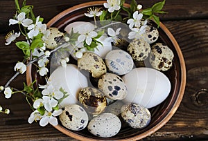 Quail and chiken eggs in a bowl