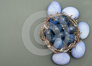 Quail colorful eggs in a nest on stone background.