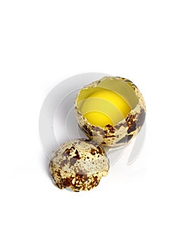 Quail Egg broken