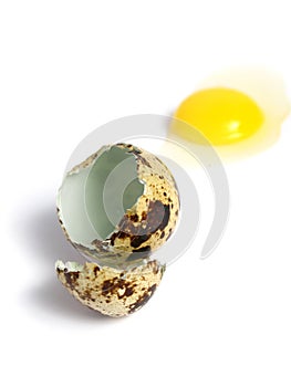 Quail Egg broken