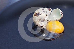 Quail egg broken into pan