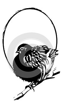 Quail with egg contour stylized as a logo. Also good for tattoo. Editable vector monochrome image with high details isolated on