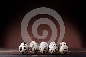 Quail egg Easter bunny and a row of quail eggs on a brown background