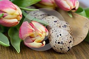 Quail egg for easter
