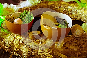 Quail egg. Flowers Easter. Christian holidays.