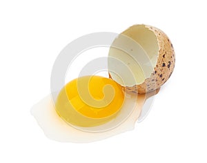 Quail egg isolated