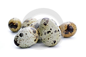 Quail egg isolated.