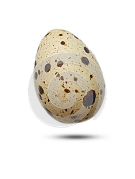 Quail egg isolated boiled    white background
