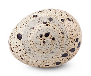 Quail egg isolated. One fresh quail egg on a white background.