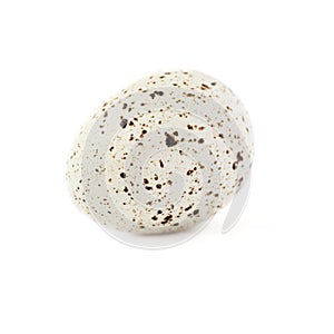 Quail egg isolated over white background