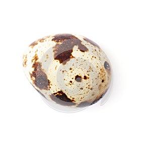 Quail egg isolated over white background