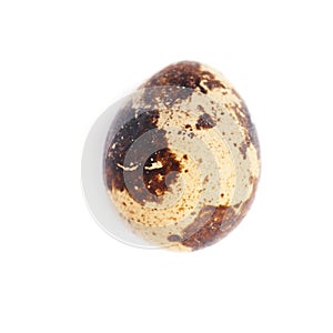 Quail egg isolated over white background