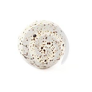 Quail egg isolated over white background