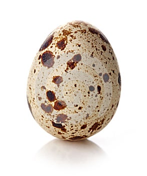 Quail egg isolated on white