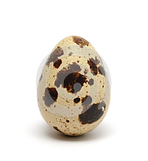 Quail egg isolated on white background