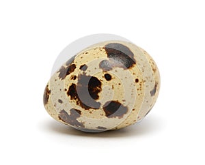 Quail egg isolated on white background