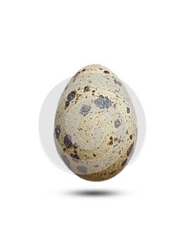 Quail egg isolated  white background