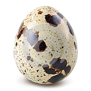 Quail egg isolated on white background.