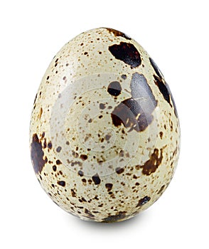 Quail egg isolated on white background.