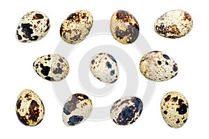 Quail egg isolated on white background