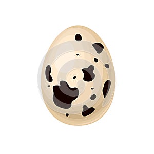 Quail egg isolated on white background. Vector cartoon illustration.