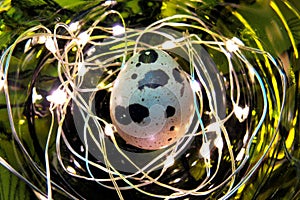 quail egg with mystical lighting close-up
