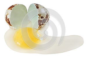 quail egg one broken with leaked protein and yolk isolated on white background with clipping path