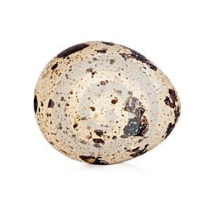 Quail egg