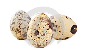 Quail eggs