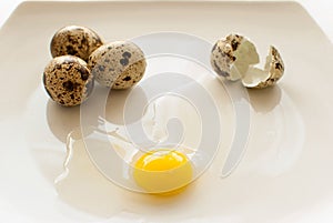 Quail eggs