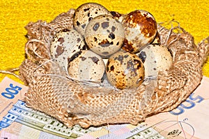 Quail eggs