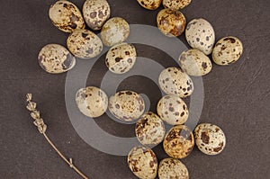 Quail eggs