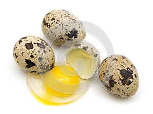 Quail eggs