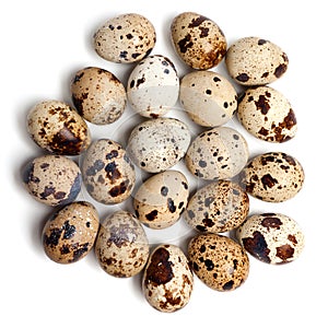 Quail eggs