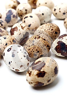 Quail eggs