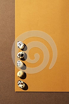 Quail eggs aligned in a row on orange and brown background with copy space