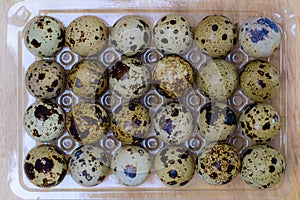 Quail Eggs as morning breackfast.