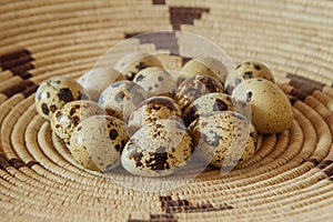 Quail Eggs in a Basket