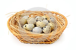 Quail eggs in basket