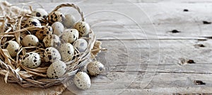 Quail eggs in a basket