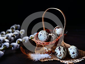 Quail eggs in basket with willow over dark background