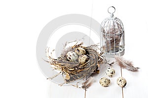 Quail eggs with birdcage