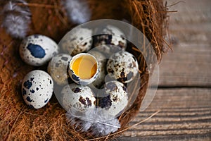 quail eggs on birds nest, fresh quail eggs and feather on wooden table background, raw eggs with peel egg shell