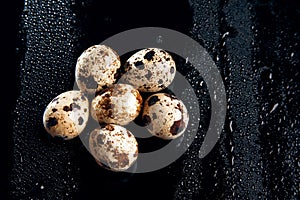 Quail eggs on a black background