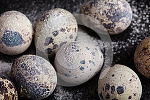 Quail eggs on black background in the flour