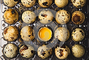 Quail eggs on black texture background.