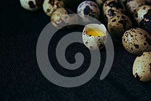 Quail eggs on a black textured background. Raw broken egg with the yolk. Easter card. Side view.